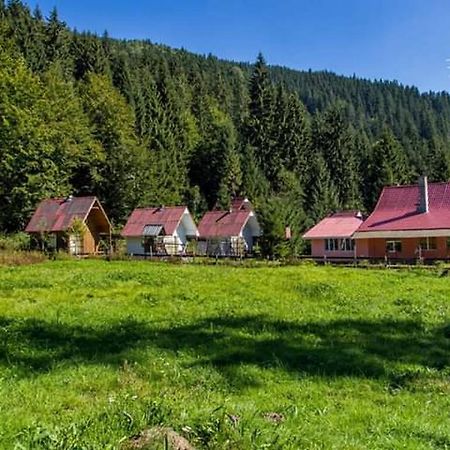 Cabana Valea Stanciului Rachitele Ngoại thất bức ảnh