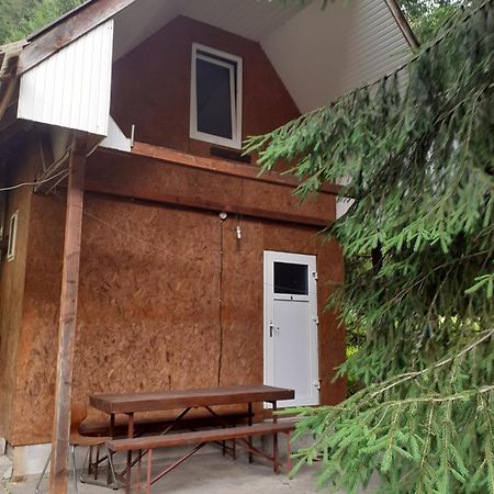 Cabana Valea Stanciului Rachitele Ngoại thất bức ảnh
