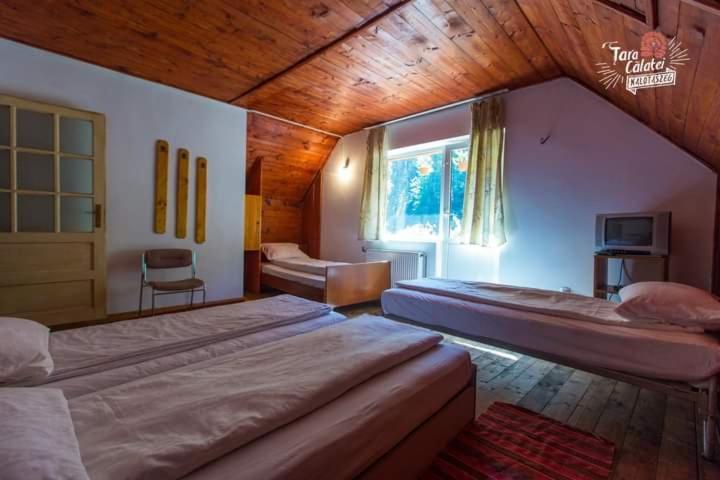 Cabana Valea Stanciului Rachitele Ngoại thất bức ảnh