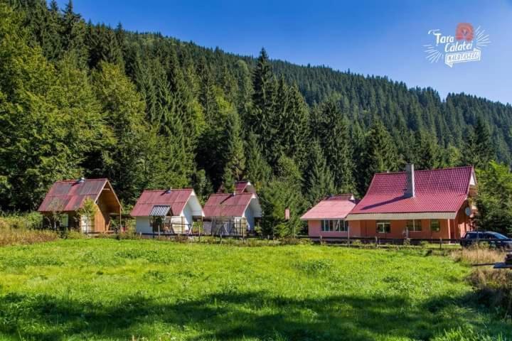 Cabana Valea Stanciului Rachitele Ngoại thất bức ảnh