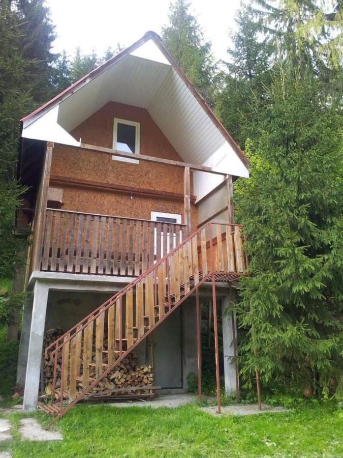 Cabana Valea Stanciului Rachitele Ngoại thất bức ảnh