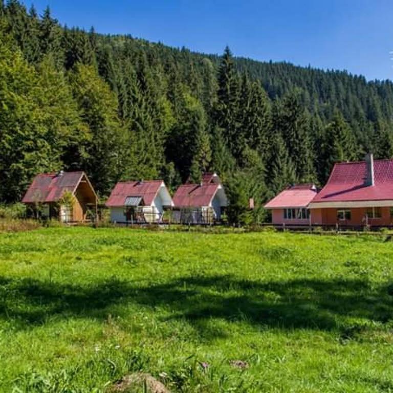 Cabana Valea Stanciului Rachitele Ngoại thất bức ảnh