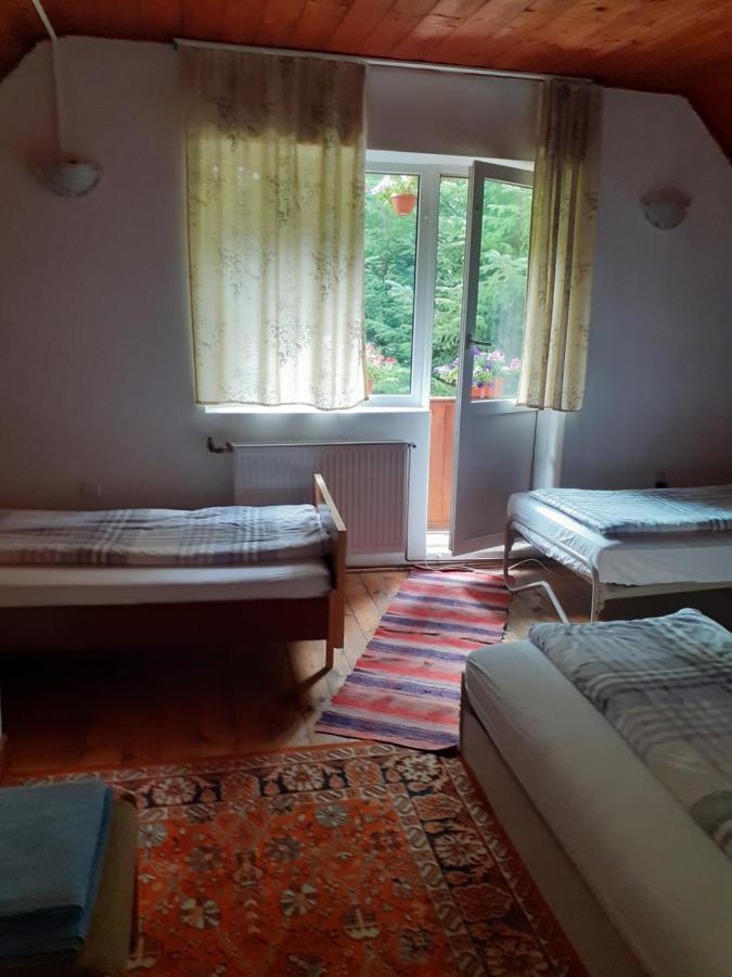 Cabana Valea Stanciului Rachitele Ngoại thất bức ảnh