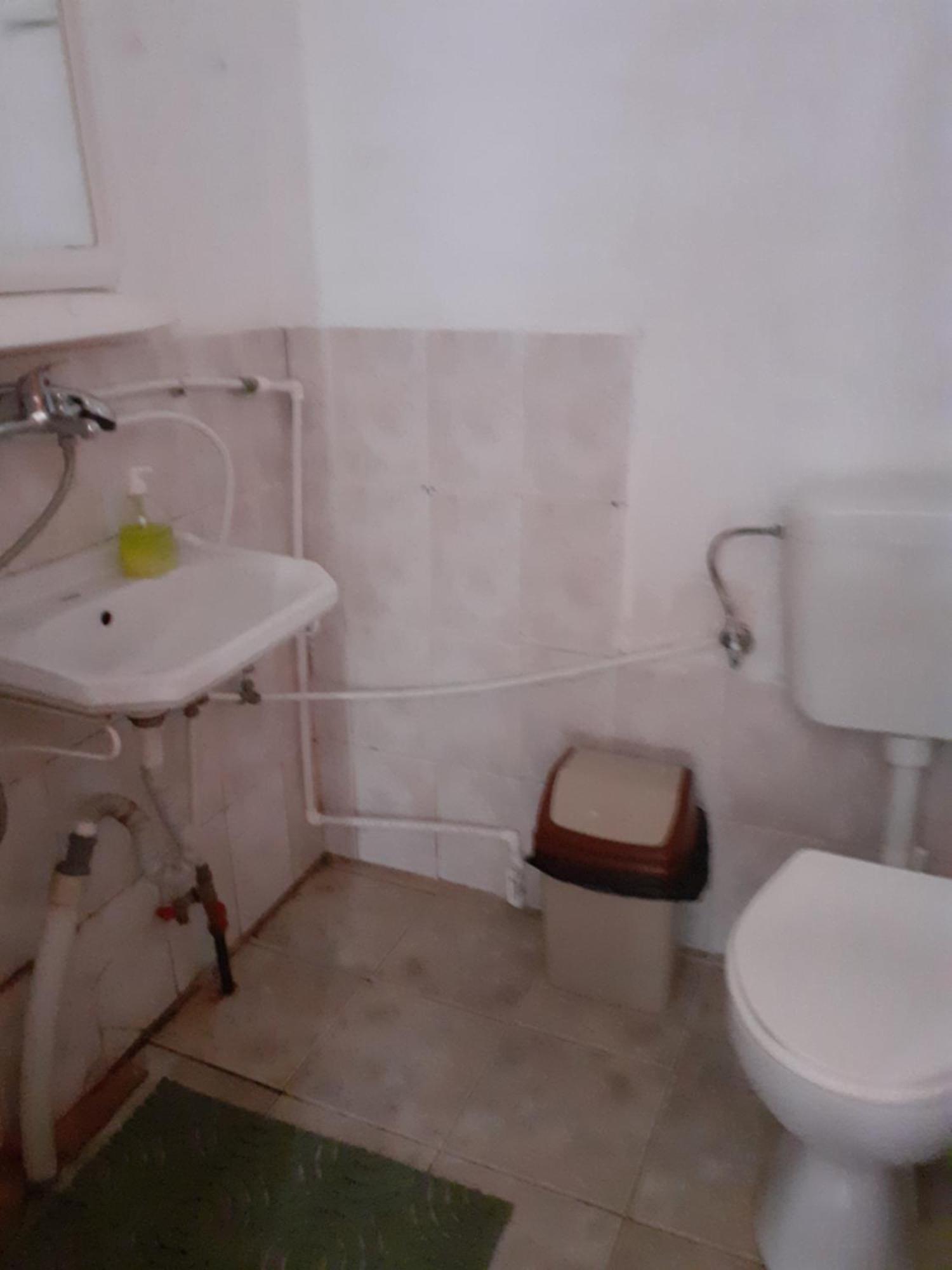 Cabana Valea Stanciului Rachitele Ngoại thất bức ảnh